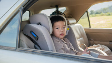 Asian Baby Car Seat