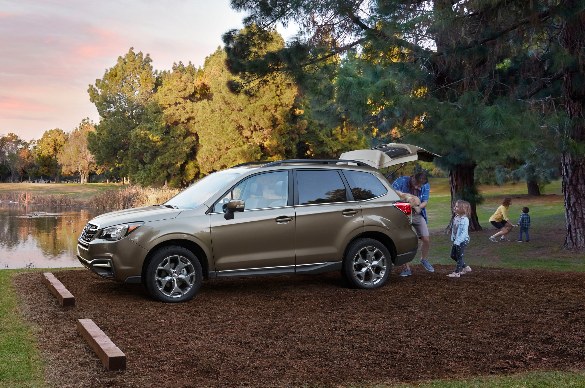 Top 5 Handicap Cars for the Elderly and the Disabled