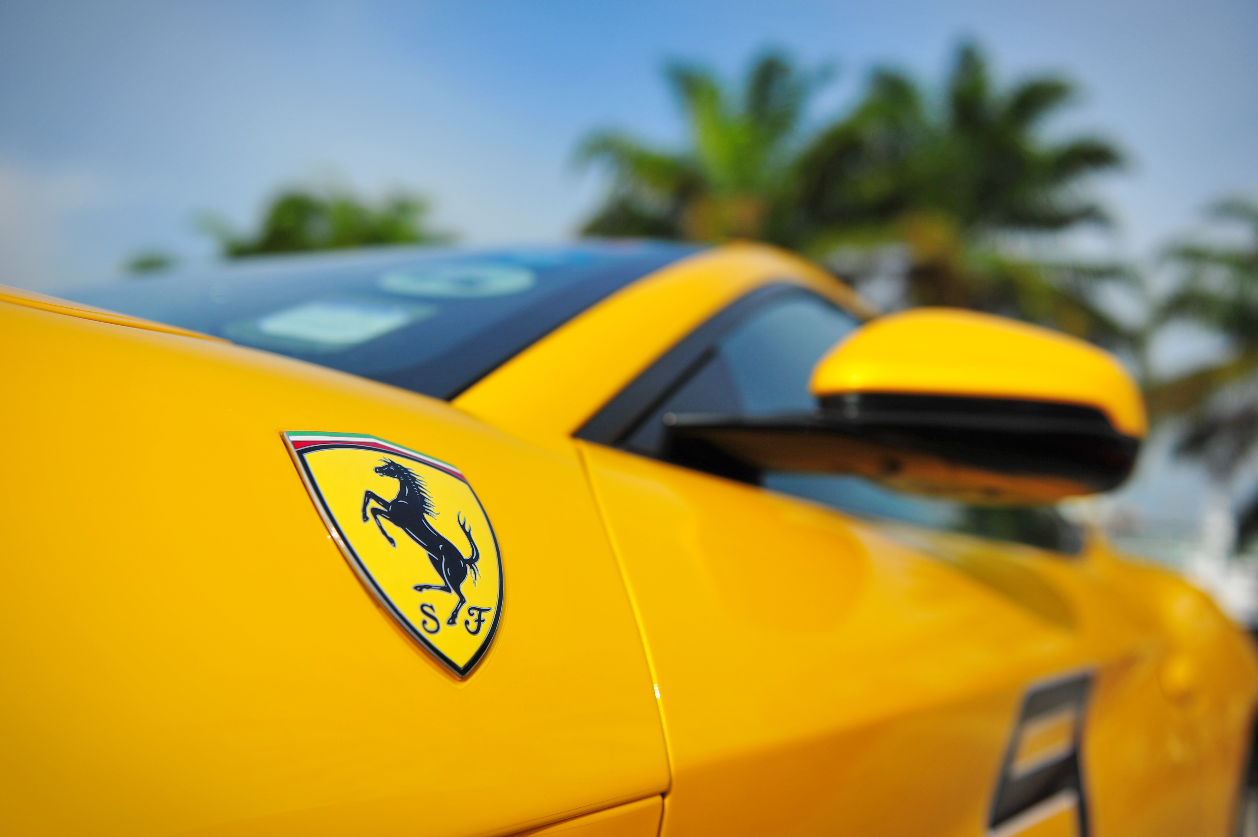 luxury car, luxurious cars