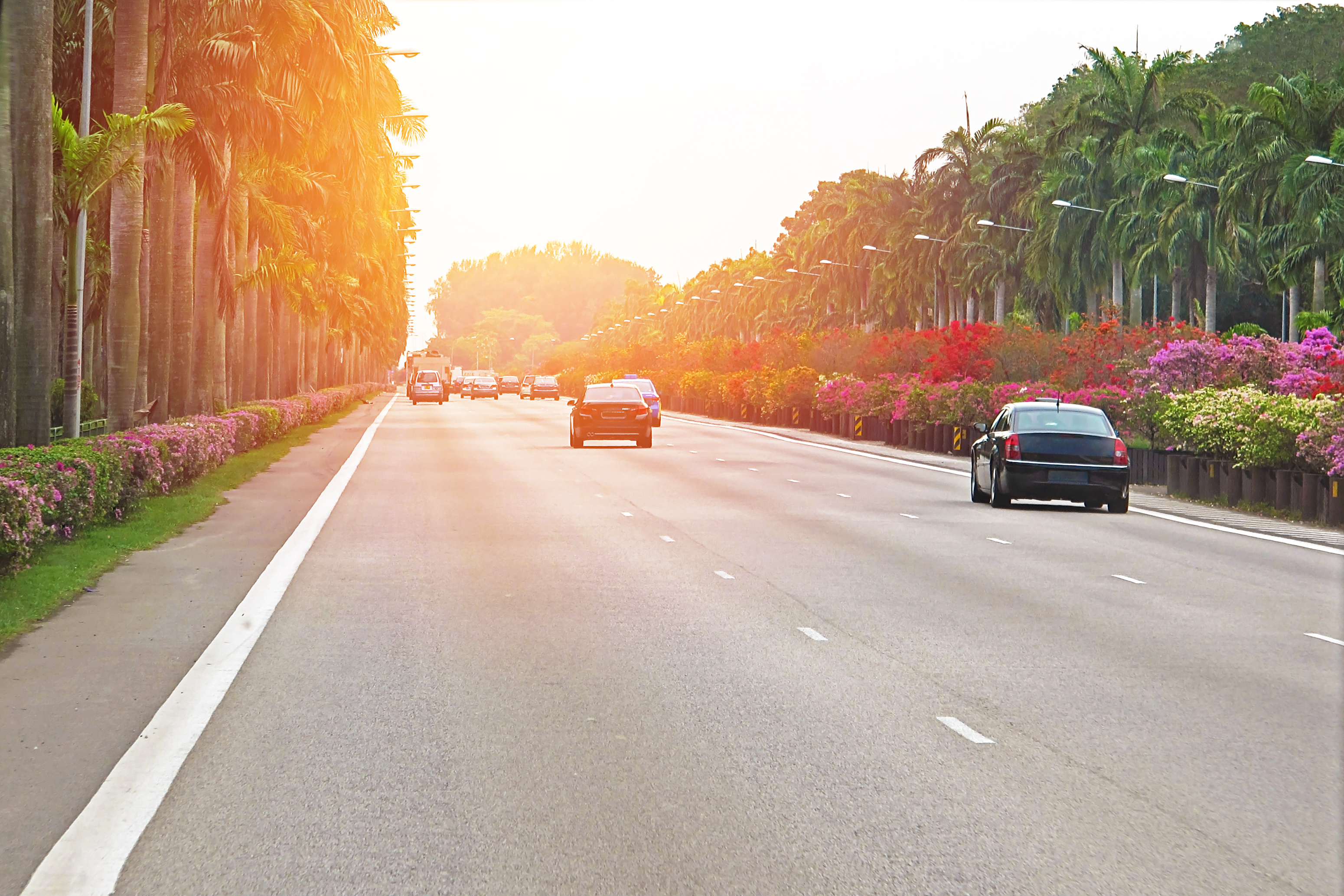 COE Bidding Results (8 May 2019)