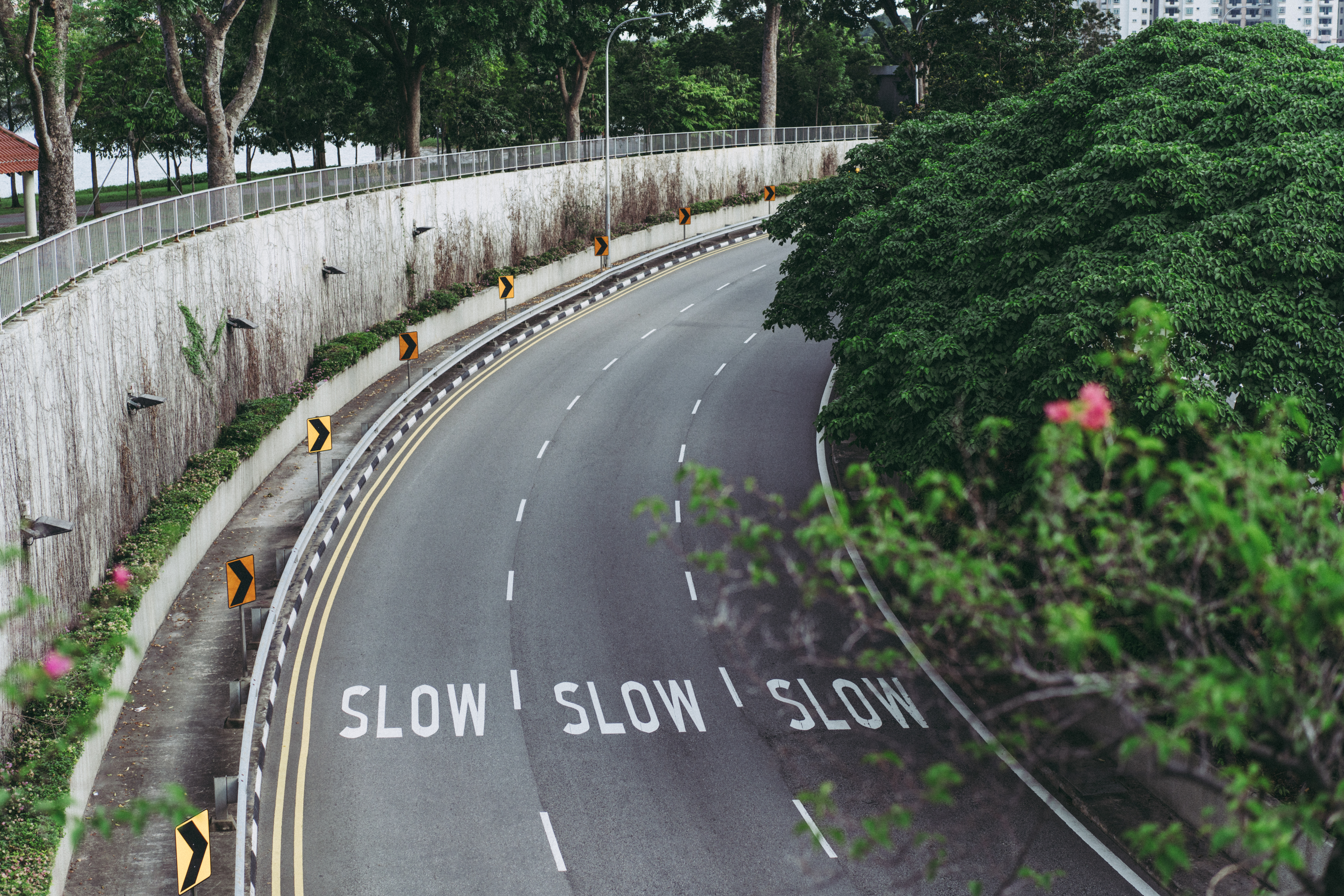 COE Bidding Results (4 Sep 2019)