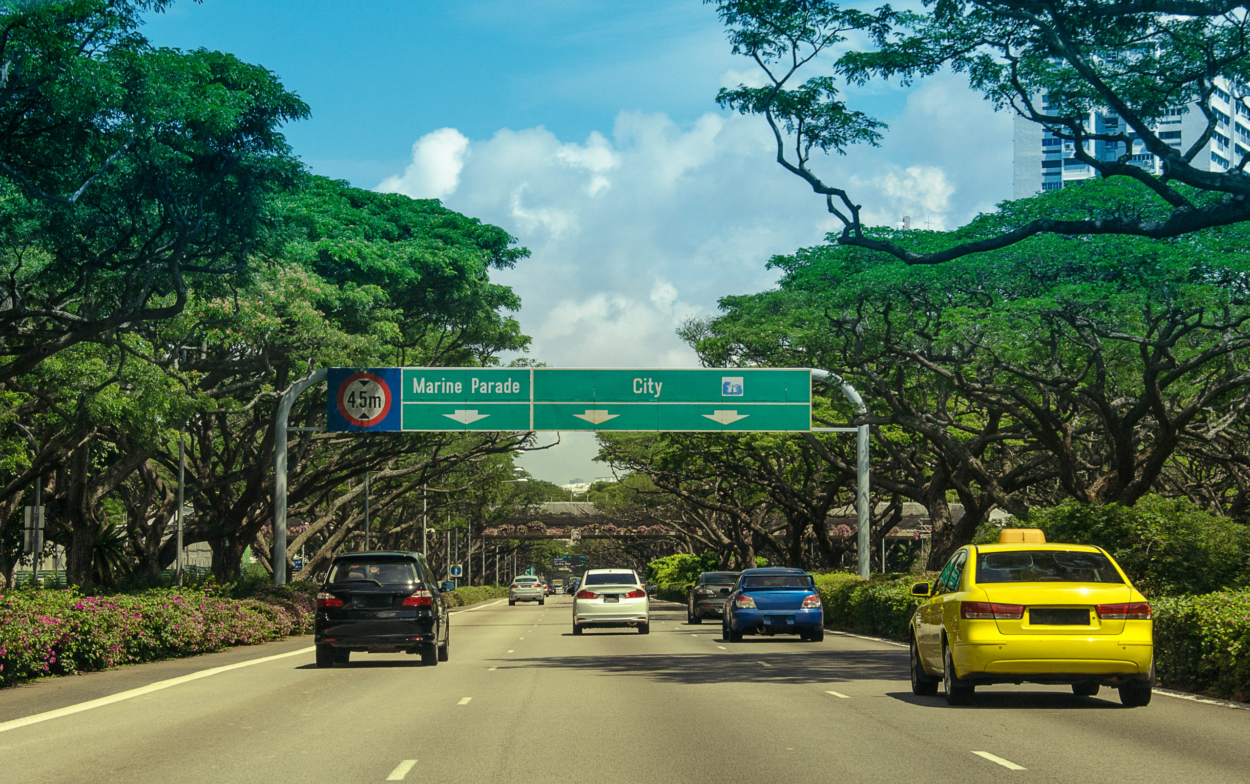 COE Bidding Results (19 February 2020)