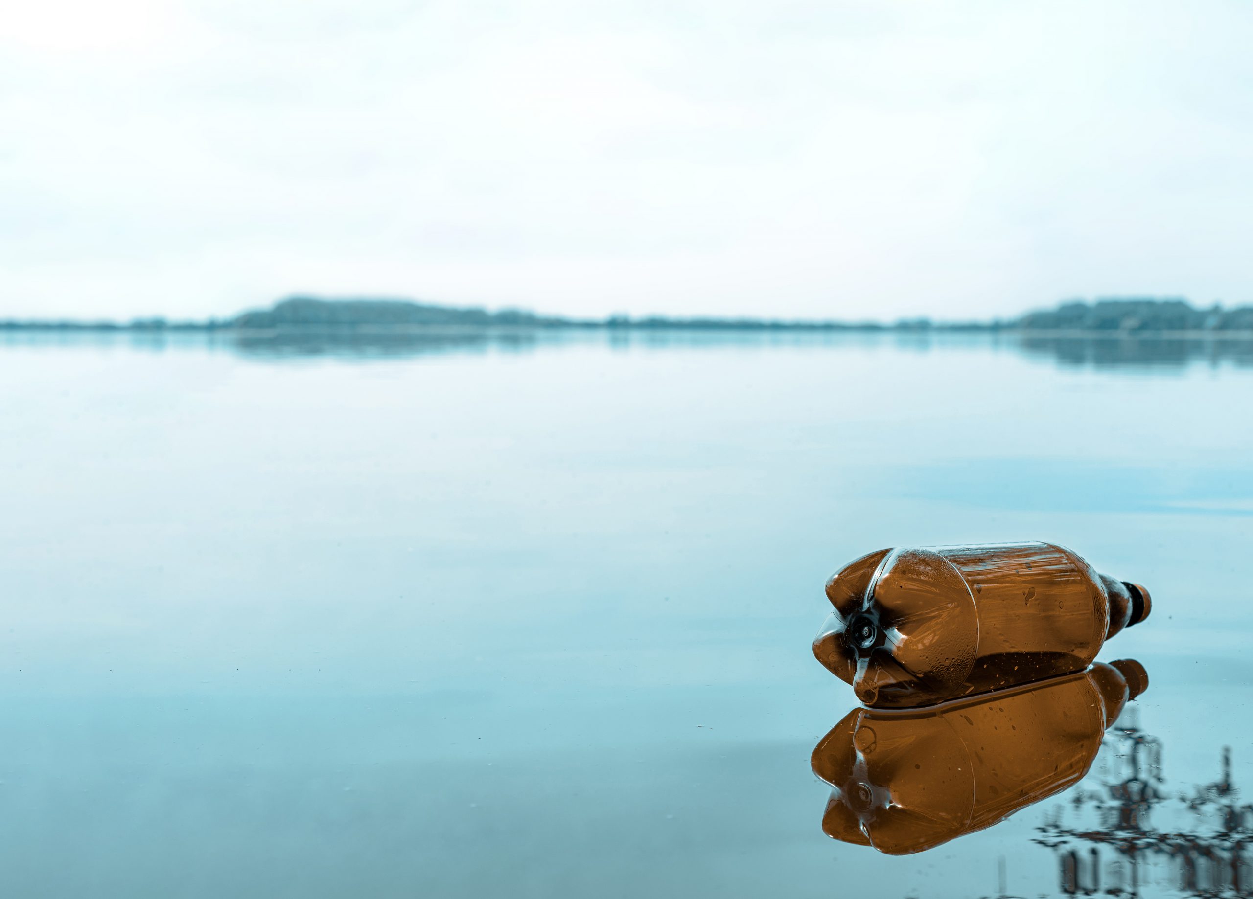 COVID-19: Impact of a Worldwide Lockdown on the Environment