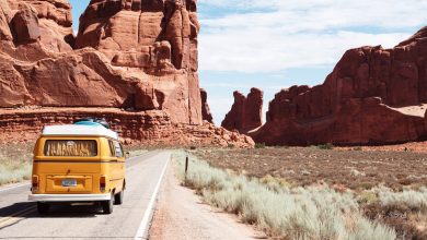 How to apply for an International Driving Permit? Here are some FAQs answered