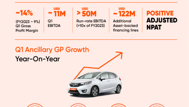 Carro's FY2024 quarterly results